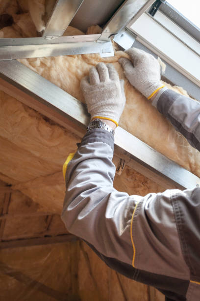 Best Insulation Installation Services in Biscoe, NC