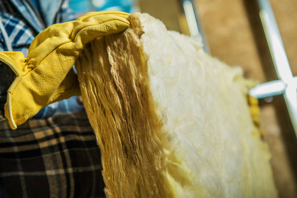 Best Commercial Insulation in Biscoe, NC