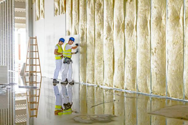 Best Insulation Materials and Products in Biscoe, NC